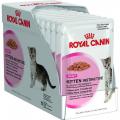 Royal Canin в зоомагазине Лепшы Сябар