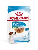 Royal Canin Mini Puppy (в соусе), 85 г х 12 шт в зоомагазине Лепшы Сябар
