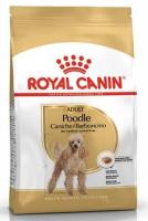 Royal Canin Poodle Adult  в зоомагазине Лепшы Сябар